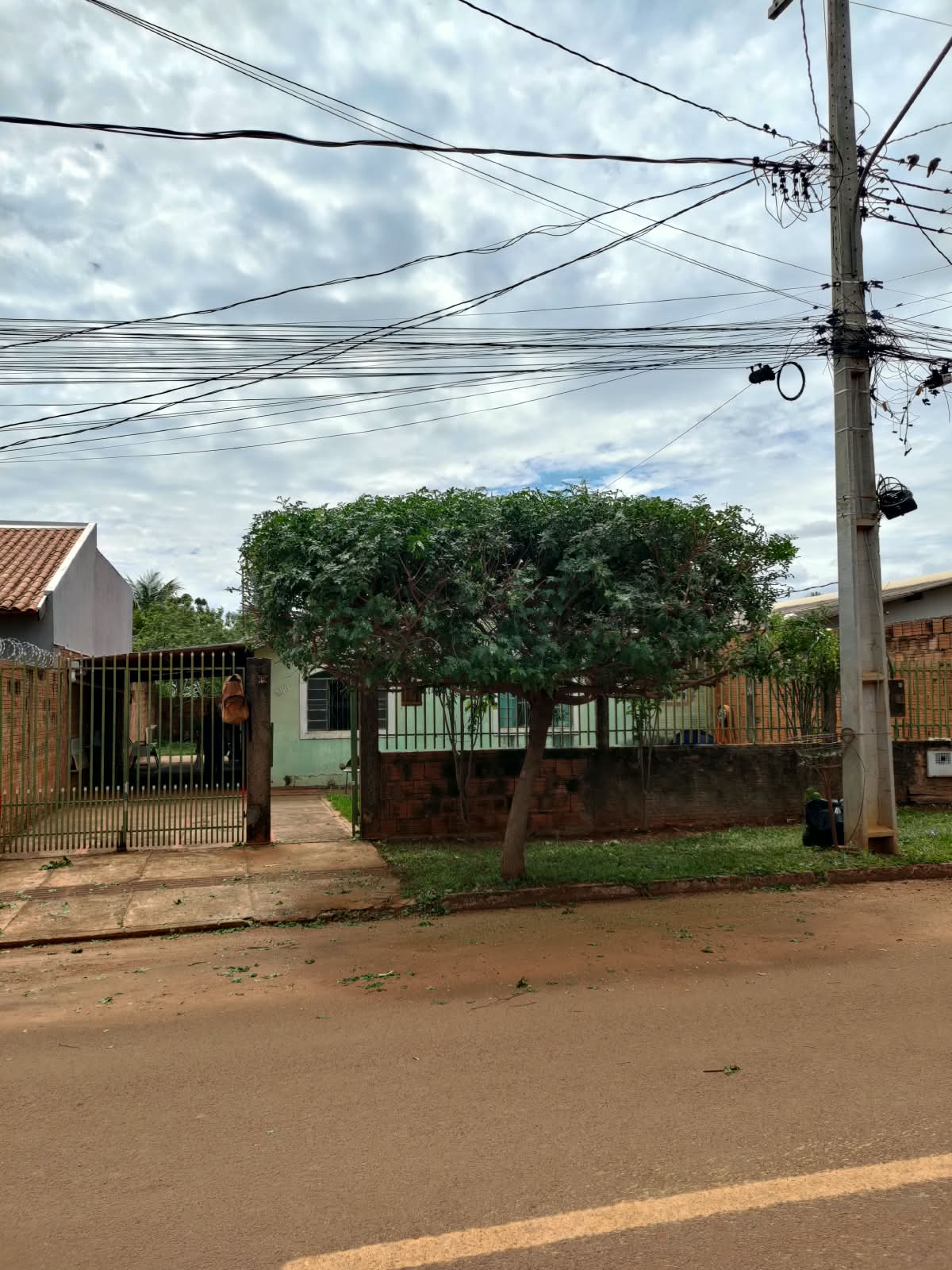 Árvore podada com calçada varrida e sacos recolhidos